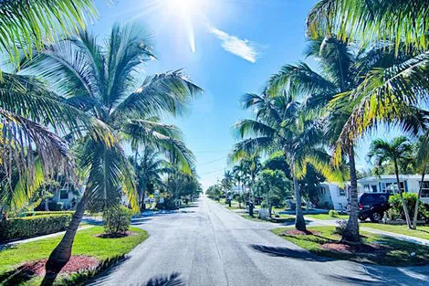 Etats-Unis : Autotour De New-York au Soleil de Floride - Éclaireur - STD