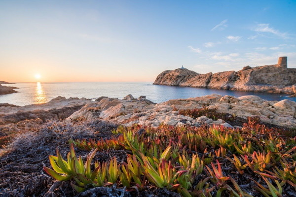 France Corse : Autotour Sur la route : Corse - Arrivée Ajaccio