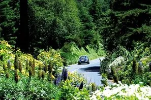 Madère-Funchal, Autotour Sous le charme de Madère