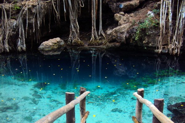 Nature - Autotour Le Yucatan en liberté et extension au Club Coralia BlueBay Grand Esmeralda 5*