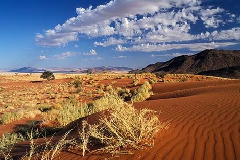 (fictif) - Autotour Dunes & Désert de Namibie Windhoek Namibie