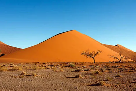 (fictif) - Autotour Dunes & Désert de Namibie Windhoek Namibie