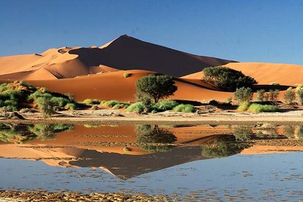 Photo - Dunes & Désert de Namibie