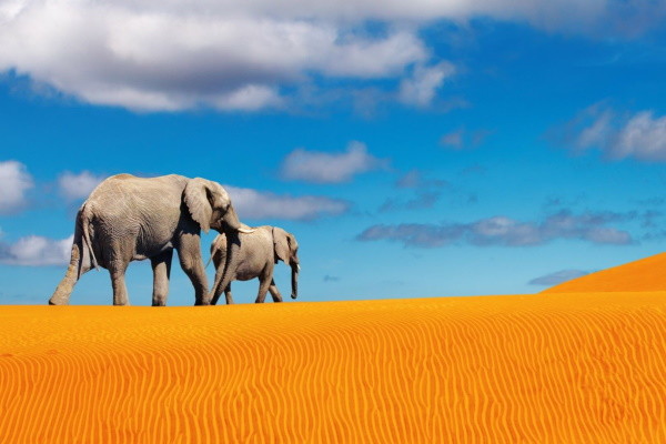 Namibie : Autotour Routes Australes