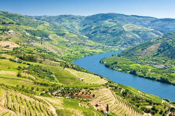 Vallée du Douro