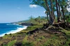 Nature - Découverte Réunion 2* + Île Maurice à l'hôtel Pearle Beach 4* Saint Denis Reunion