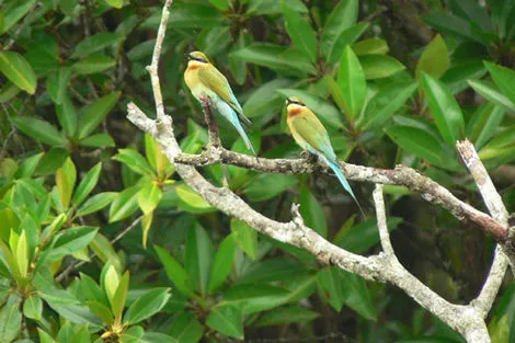 Autotour Privatif - Sri Lanka en Liberté photo 4