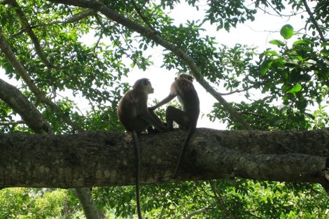 Autotour Privatif - Sri Lanka en Liberté photo 3