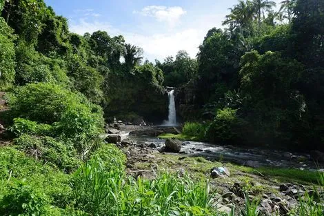 Bali : Hôtel Angel House Ubud