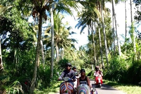 Bali : Hôtel Angel House Ubud