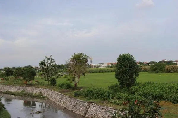 Bali : Hôtel Beji Ayu Homestay