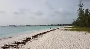 BARBADE-BRIDGETOWN, Hôtel Island Inn 3*