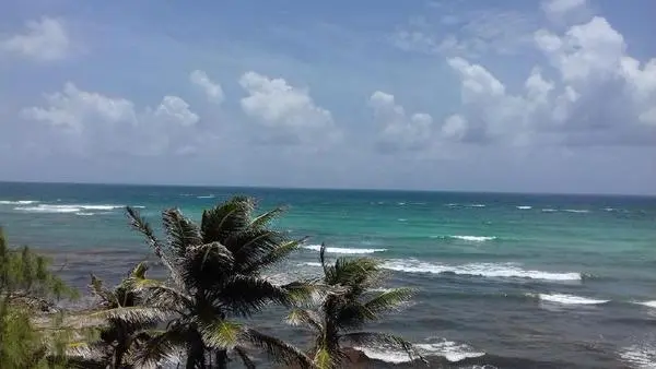 Plage - Sunbay Hotel 3*