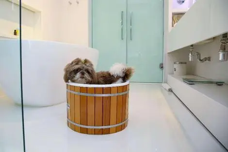 Bresil : Hôtel Bossa Nova Ipanema