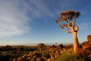 Afrique Du Sud-Johannesbourg, Circuit Civilisations + Extensions Parcs Chobe + Victoria Falls