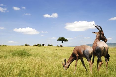 Circuit Les Inoubliables de l'Afrique du Sud photo 11