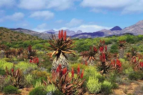 Circuit Les Inoubliables de l'Afrique du Sud photo 28