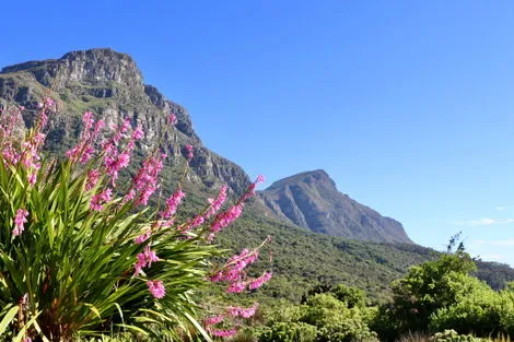 vol+hotel Circuit CIRCUIT DU PARC KRUGER AU CAP DE BONNE ESPERANCE Afrique Du Sud Johannesbourg