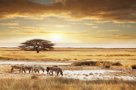 Circuit CIRCUIT I LOVE AFRIQUE DU SUD - VOLS AIR FRANCE Afrique Du Sud Johannesbourg