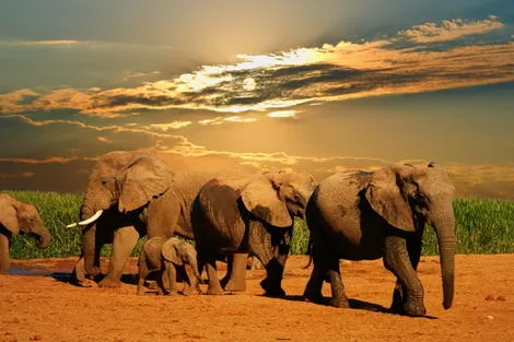 Afrique Du Sud : Circuit I love Afrique du Sud 2025