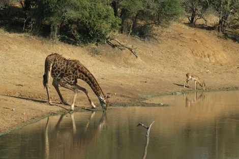 Circuit Les Inoubliables de l'Afrique du Sud photo 21