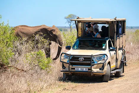 vol+hotel Circuit Royal Kruger Lodge and Spa et Safari 4* Afrique Du Sud Johannesbourg