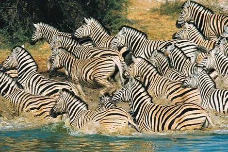 Circuit Les Inoubliables de l'Afrique du Sud photo 32