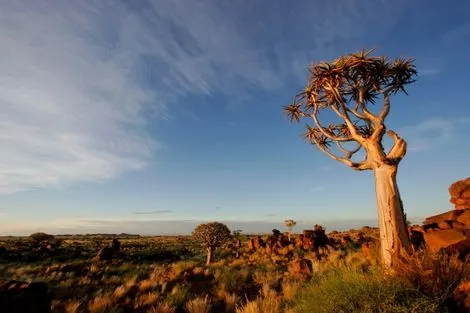 Circuit Les incontournables de l'Afrique du Sud avec Victoria falls 3* photo 25