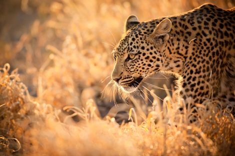 Circuit Les Inoubliables de l'Afrique du Sud photo 7