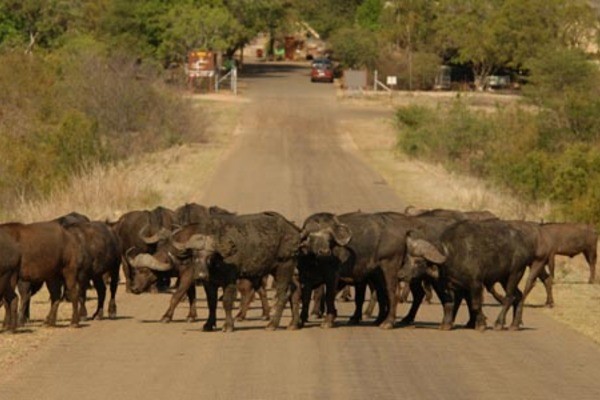 Photo - Lumières d'Afrique du Sud