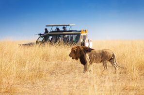 Afrique Du Sud-Le Cap, Circuit Circuit Paysages Sud Africains