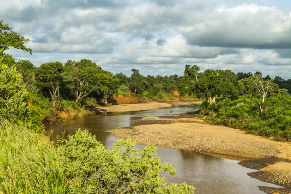 Parc Kruger