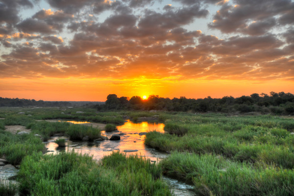 Nature - Circuit Splendeurs d'Afrique du Sud Le Cap Afrique Du Sud