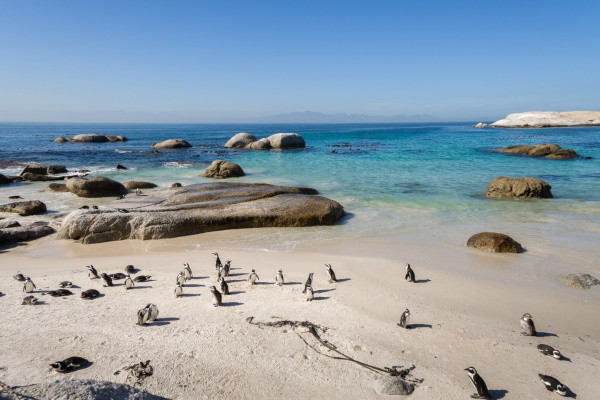 Afrique Du Sud : Circuit Au coeur de l'Afrique du Sud