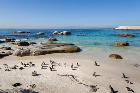 vol+hotel Circuit CIRCUIT AU COEUR DE L'AFRIQUE DU SUD Afrique Du Sud Le Cap