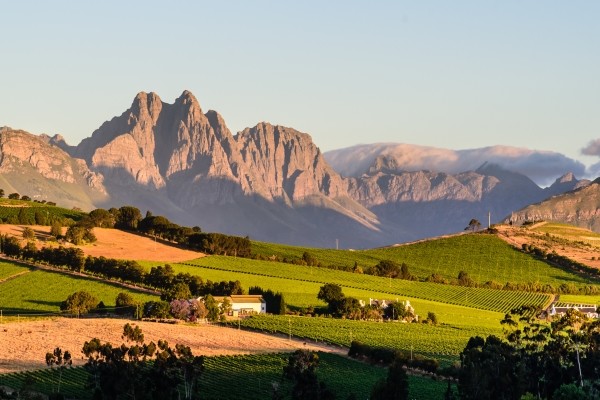 Stellenbosch