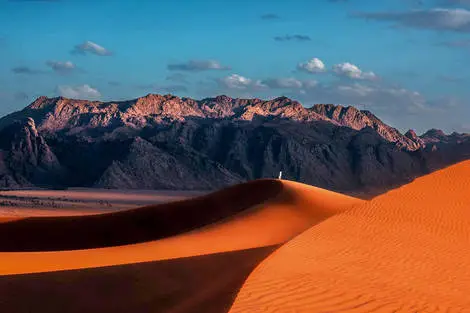 Arabie Saoudite : Circuit Couleurs et Richesses de l'Arabie Saoudite (Hôtels standards)