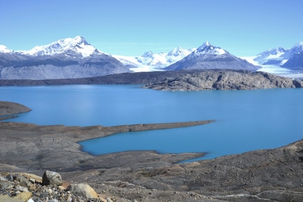 Argentine