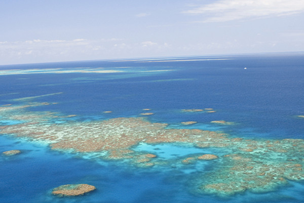 Photo - Confidentiel Australie + Australia's Nature + Grande Barrière de Corail