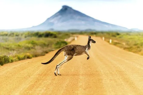 Circuit CIRCUIT SPLENDEURS D'AUSTRALIE Australie Melbourne