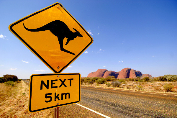 Panneau kangourou - Australie - Au Royaume des Kangourous