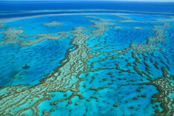 Barriere de Corail
