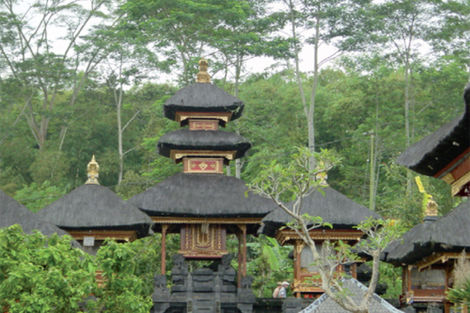 Circuit Au Cœur de Bali 3* photo 2