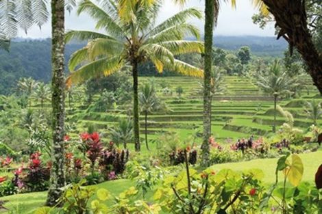 Circuit Au Cœur de Bali 3* photo 8
