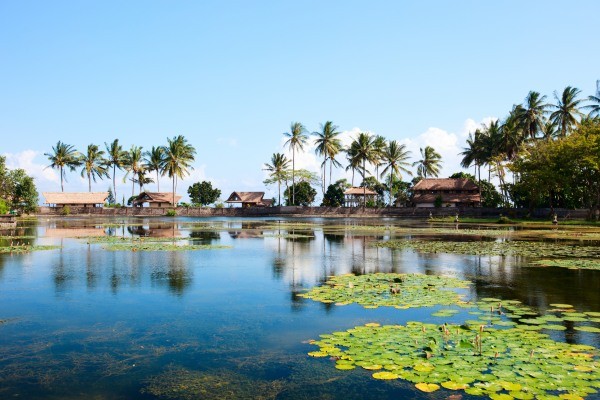 Bali Générique