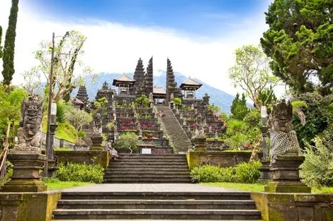 Combiné circuit et hôtel De Ubud aux plages balinaises photo 7