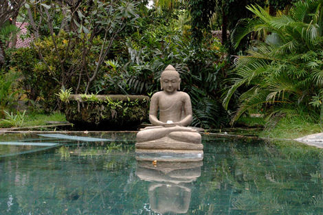 Circuit Soleil de Bali 5* photo 2