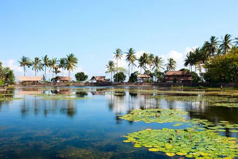 Circuit Joyaux de Bali, entre culture et nature 3* photo 5