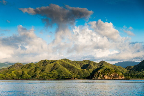 Komodo