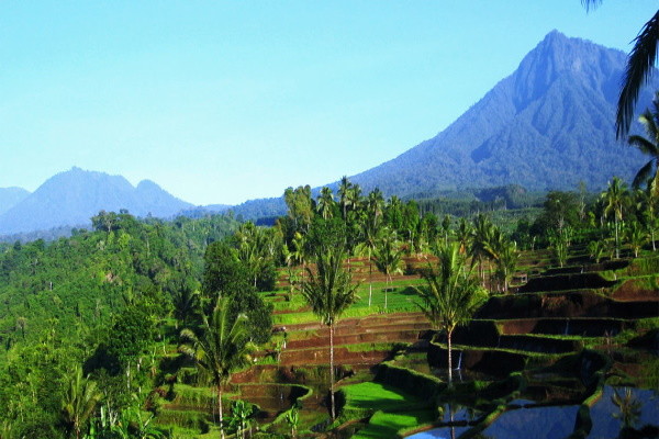 Bali : Circuit Au Coeur de Bali et Extension Prime Plaza Sanur